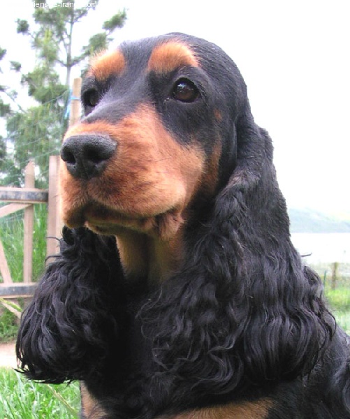 Thalie Du domaine de makno