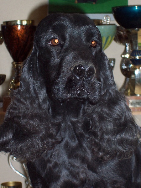 Gessa d'Aran Glen singer